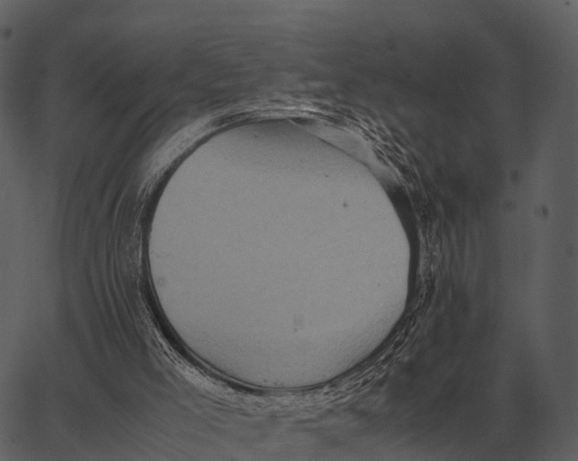 X0000062650005200601111203