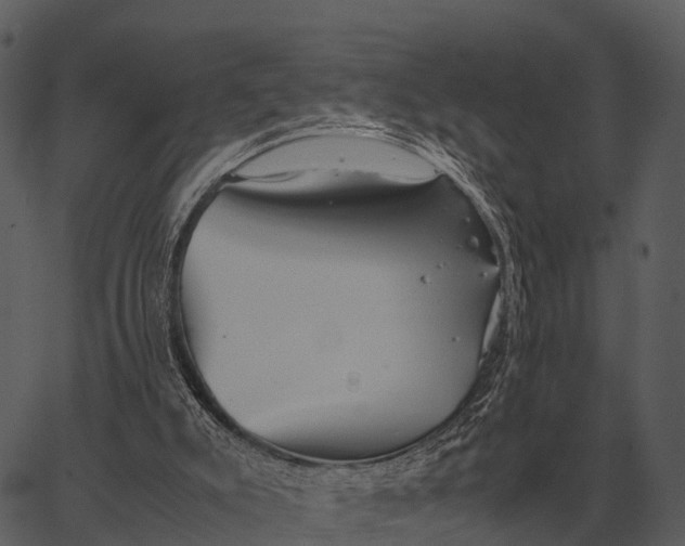 X0000062650007200601111203