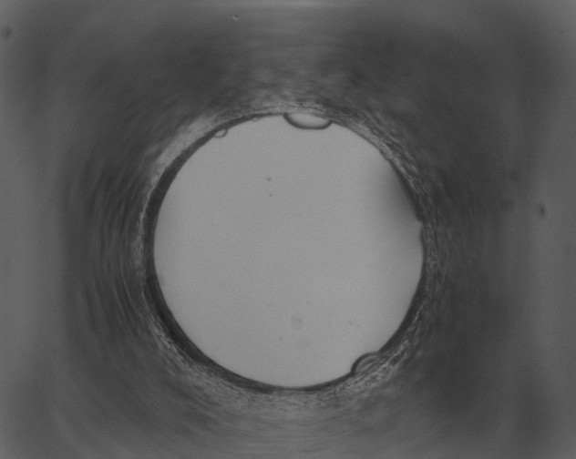 X0000062650008200601111203