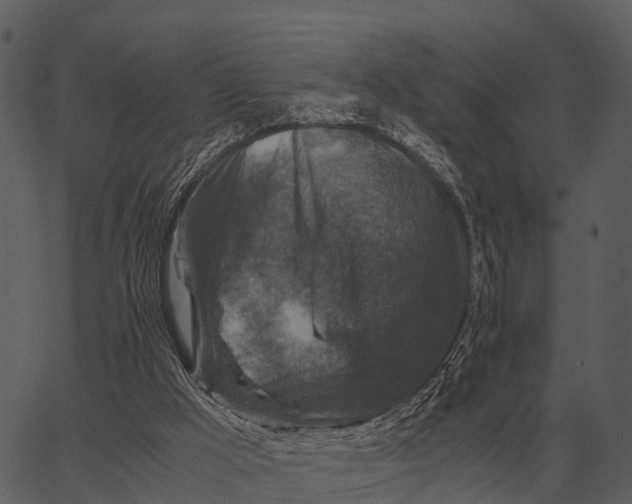 X0000062650009200601111203