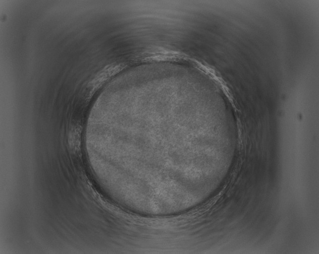 X0000062650010200601111203