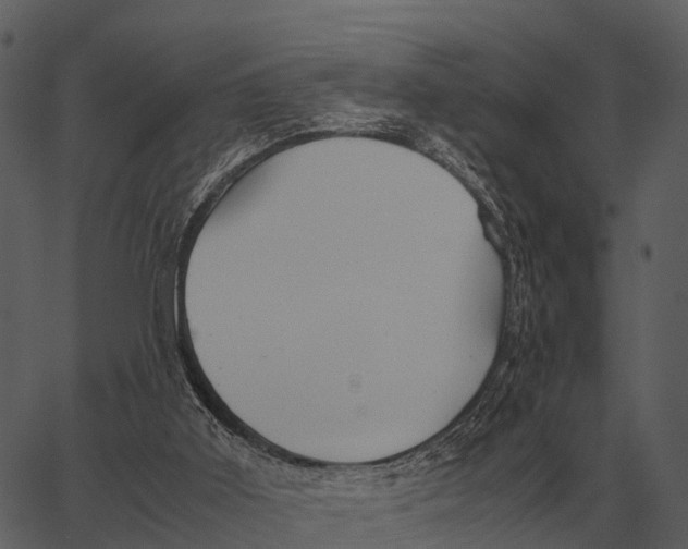 X0000062650011200601111203