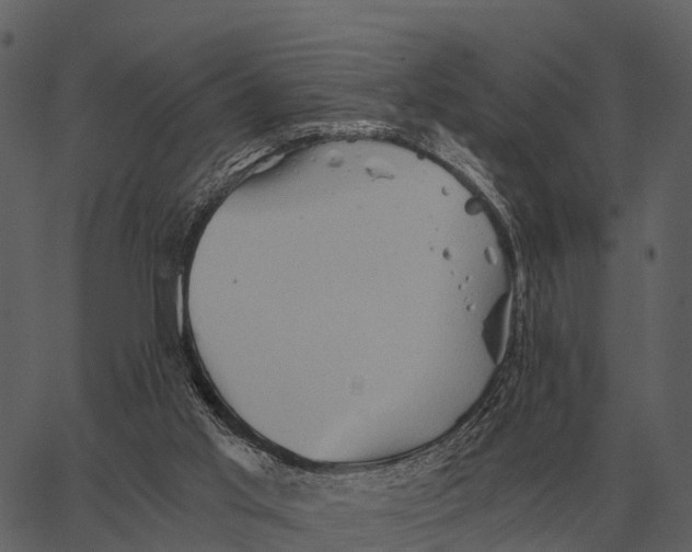 X0000062650013200601111203