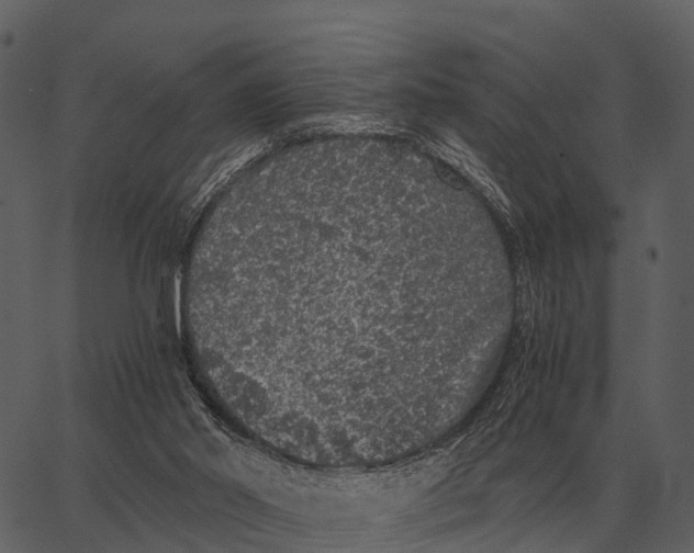 X0000062650014200601111203