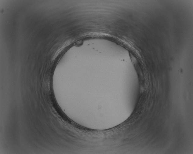 X0000062650015200601111203