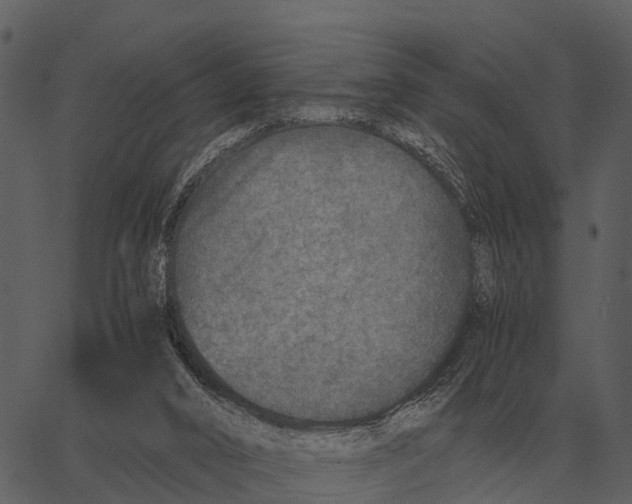 X0000062650016200601111203