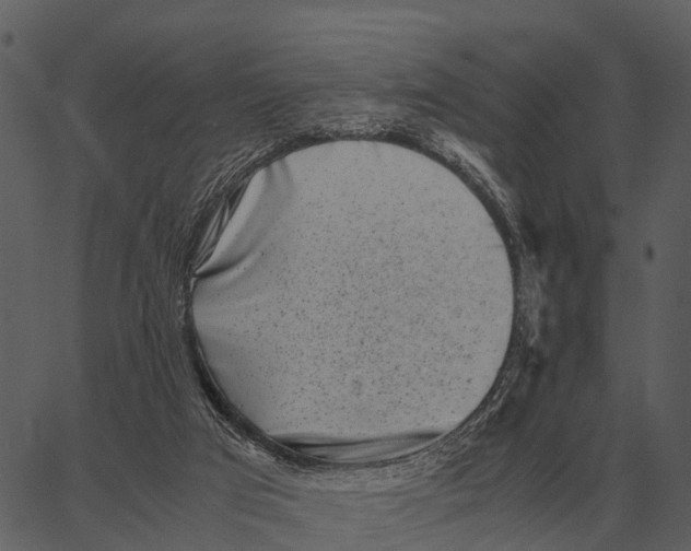 X0000062650017200601111203