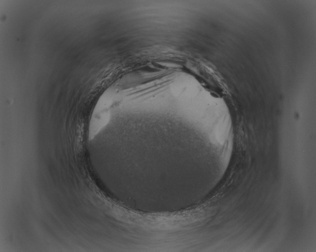 X0000062650018200601111203