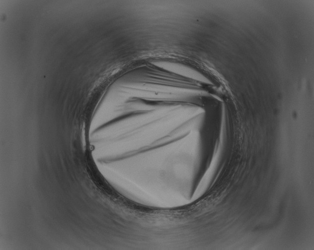 X0000062650020200601111203