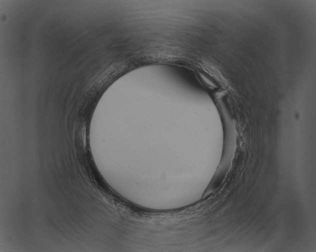 X0000062650021200601111203