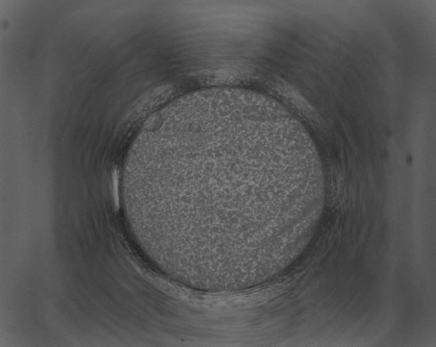 X0000062650022200601111203