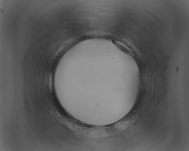 X0000062650024200601111203