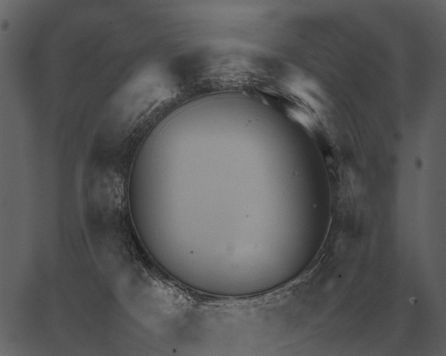 X0000062650025200601111203