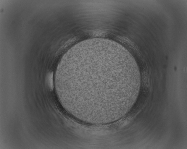 X0000062650028200601111203