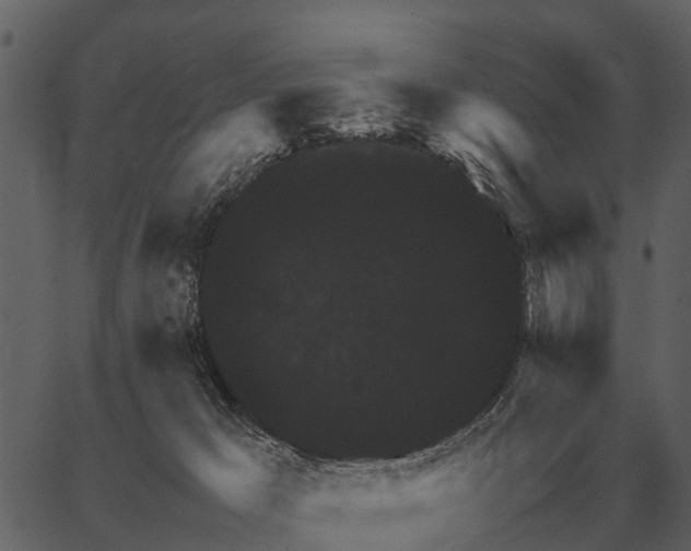 X0000062650029200601111203