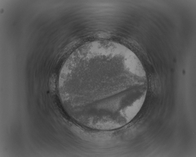 X0000062650032200601111203