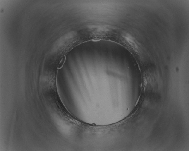 X0000062650033200601111203