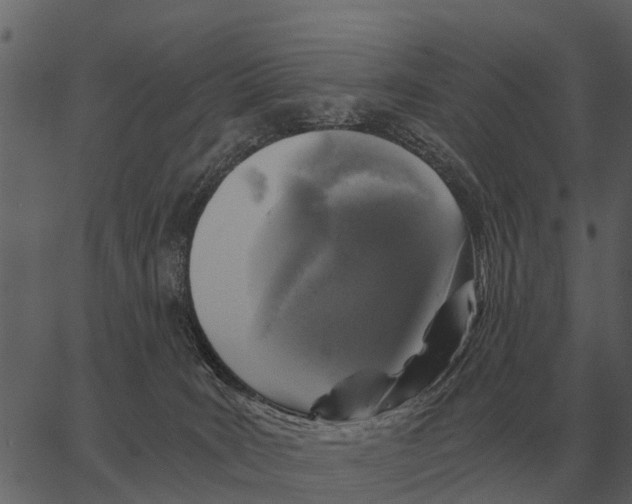 X0000062650035200601111203