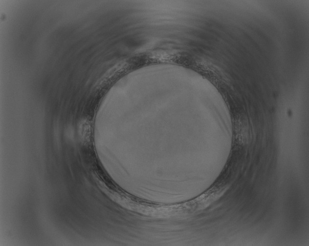 X0000062650036200601111203