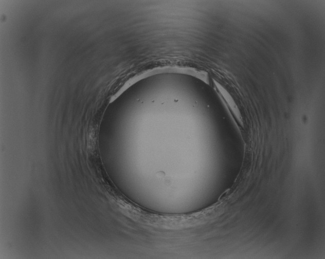 X0000062650037200601111203