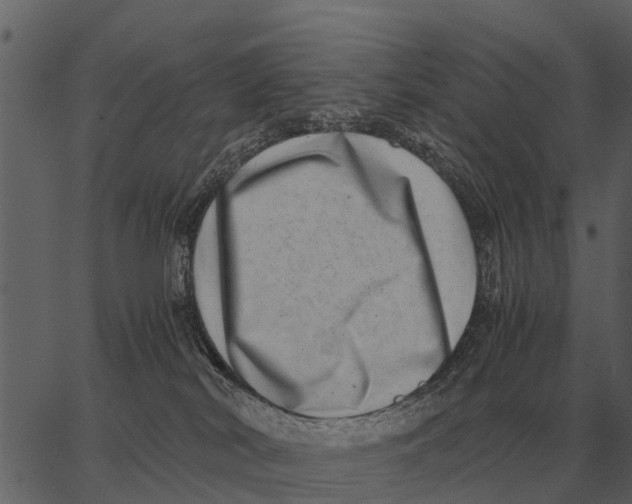 X0000062650038200601111203