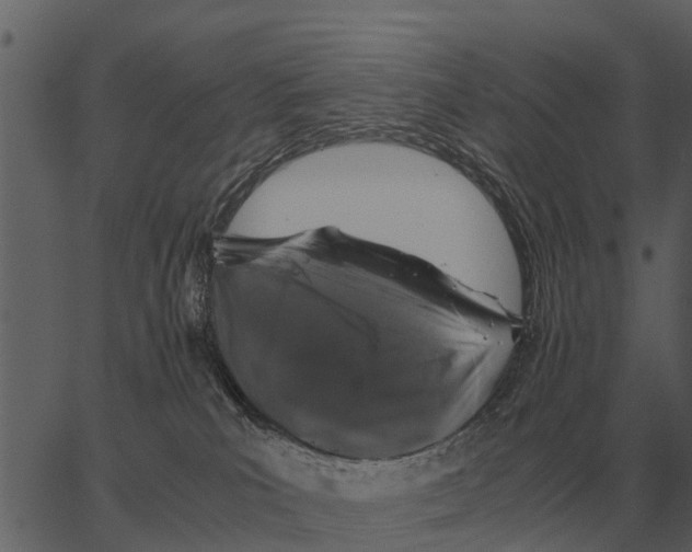 X0000062650039200601111203