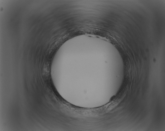 X0000062650040200601111203