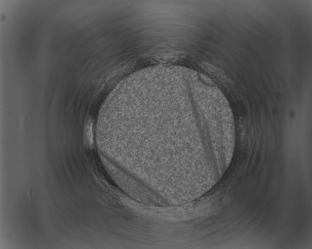 X0000062650042200601111203