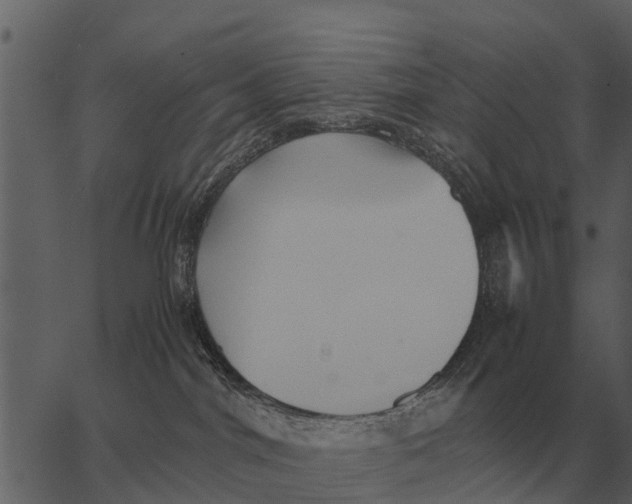 X0000062650044200601111203