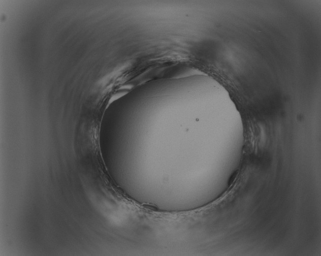 X0000062650045200601111203