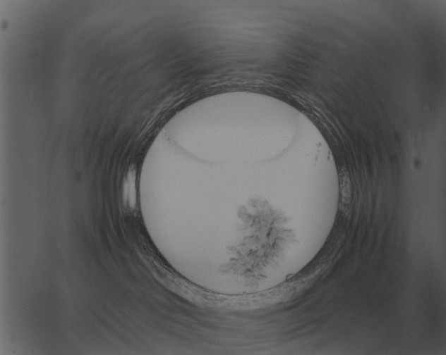 X0000062650046200601111203