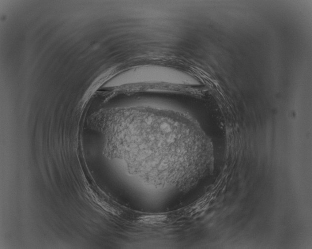 X0000062650051200601111202