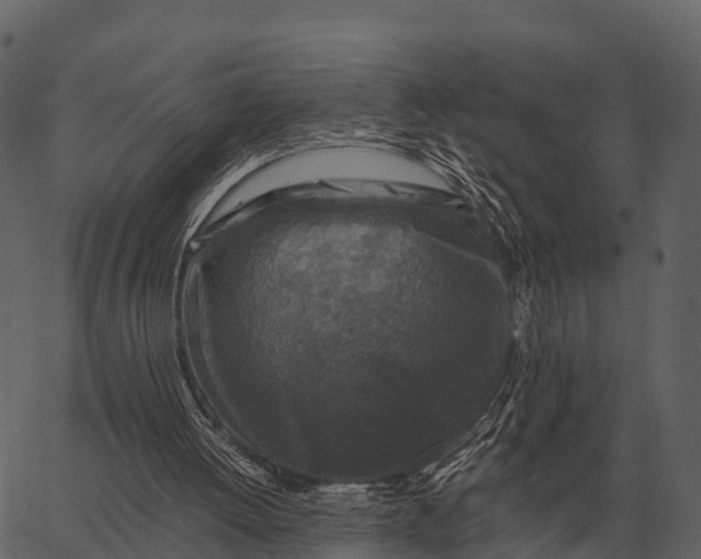 X0000062650052200601111202