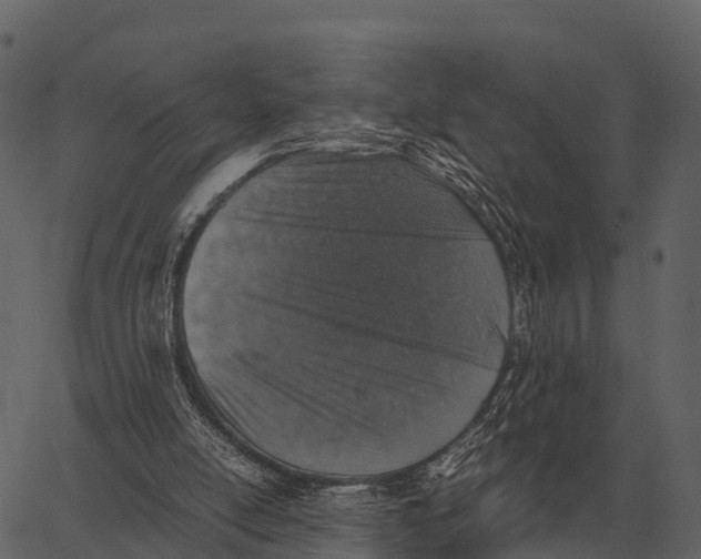 X0000062650054200601111202