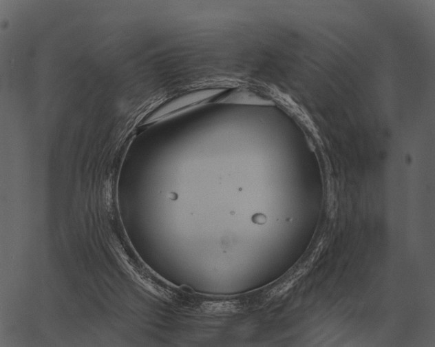 X0000062650057200601111202