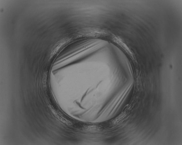 X0000062650058200601111202