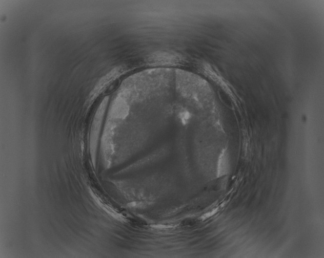 X0000062650059200601111202