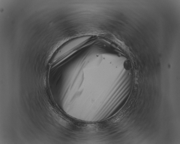 X0000062650060200601111202