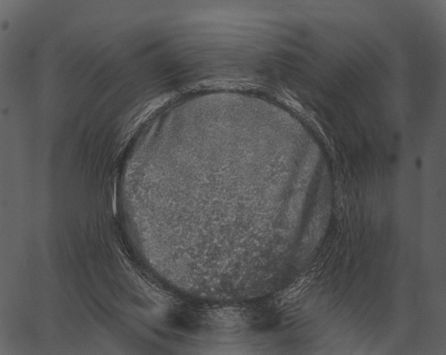 X0000062650062200601111202