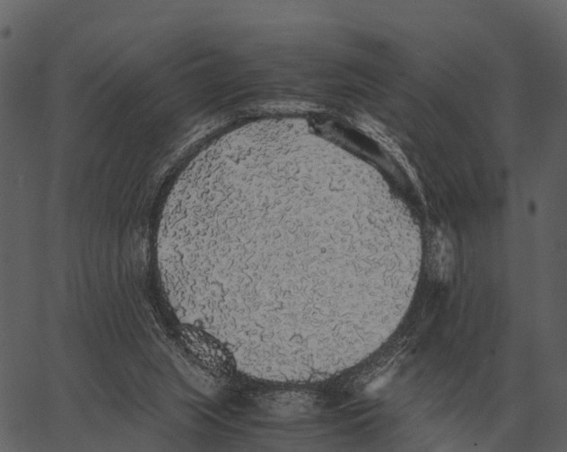 X0000062650063200601111202