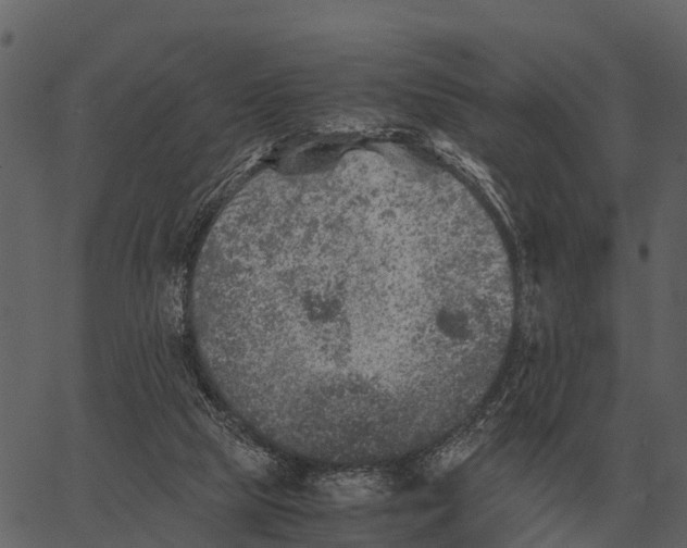 X0000062650065200601111202