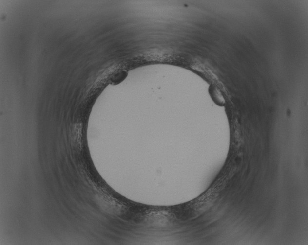 X0000062650066200601111202