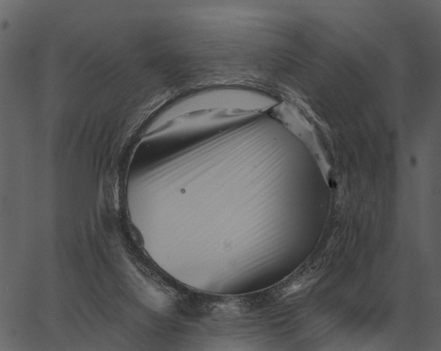 X0000062650068200601111202