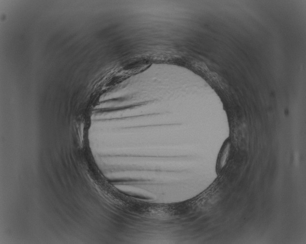 X0000062650070200601111202