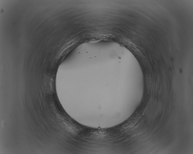 X0000062650071200601111202