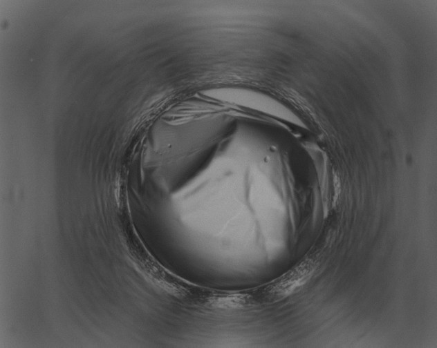 X0000062650072200601111202