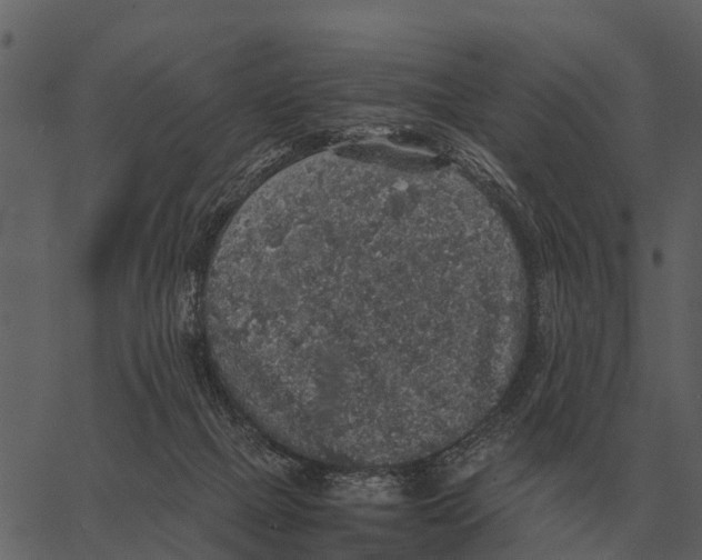 X0000062650073200601111202