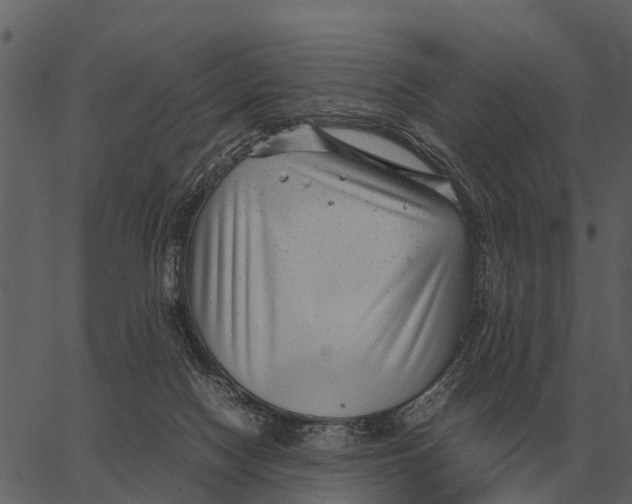 X0000062650074200601111202