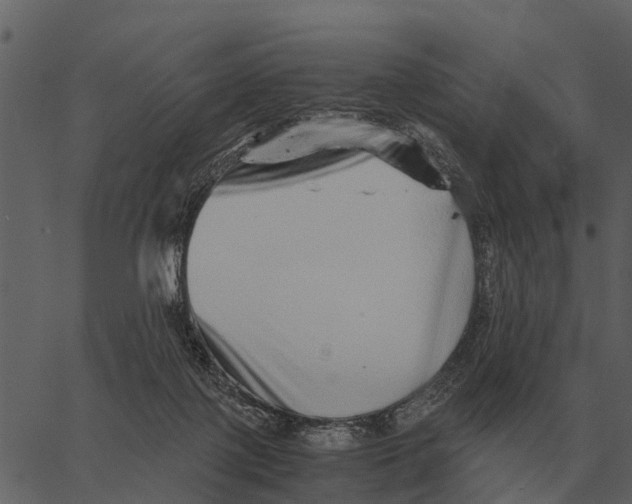 X0000062650075200601111202