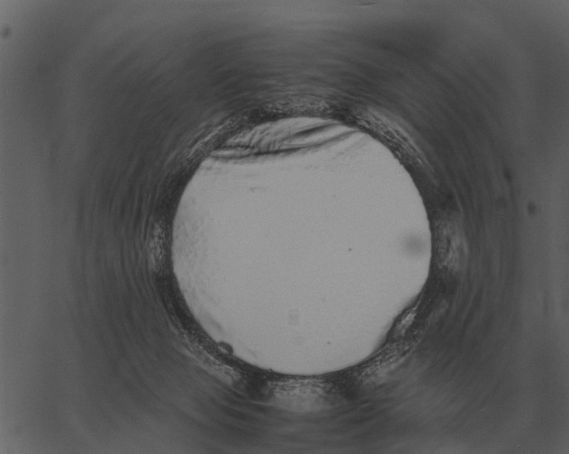 X0000062650077200601111202